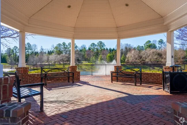 geese lake park short pump va (1)